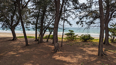 Espace ombragée avec plage / Shady beach area