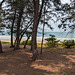 Espace ombragée avec plage / Shady beach area