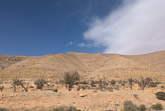 Paysage désertique sur la route N11