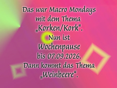 Pause "Weinbeere" der Gruppe "Macro Mondays"