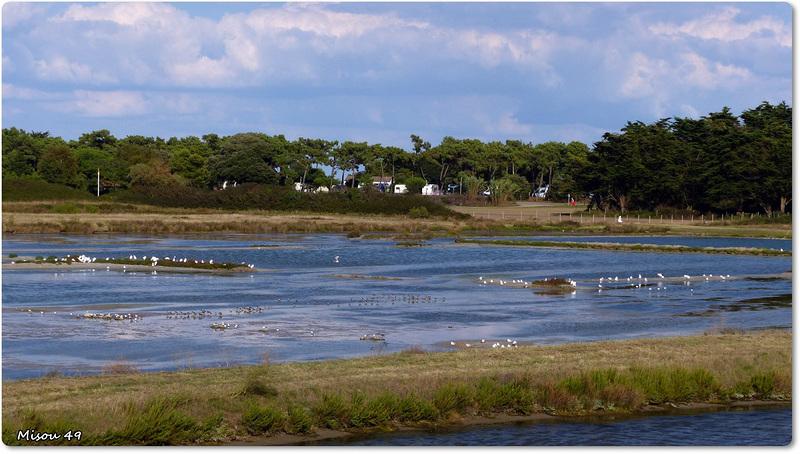 NOIRMOUTIER
