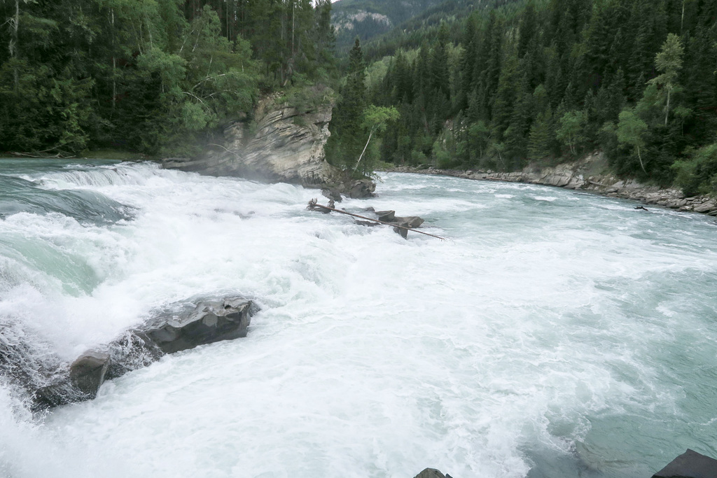 Auf dem Weg zum Mt.Robson