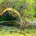 P1220909 - At the Pond - Am Schlossteich