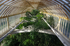 Palm House