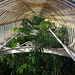 Palm House