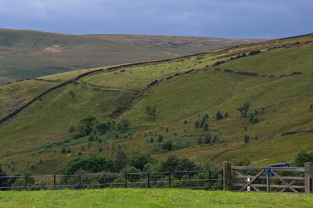 Crowden