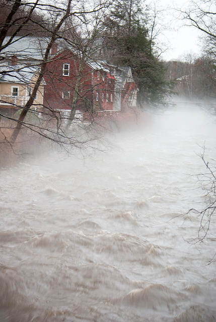 Fog on the Mill River