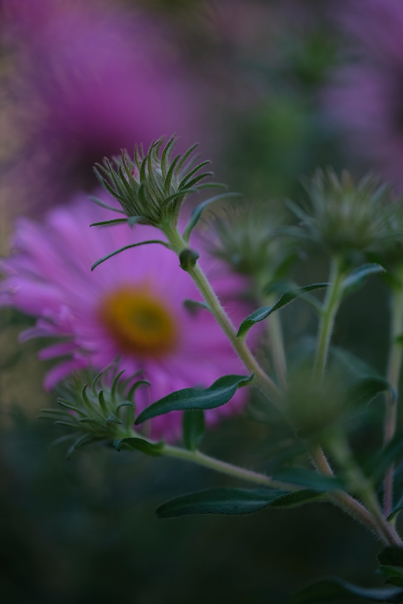 DSCF4130