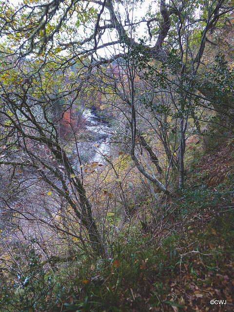 The Dunearn Burn walk - Earl of Moray's estate