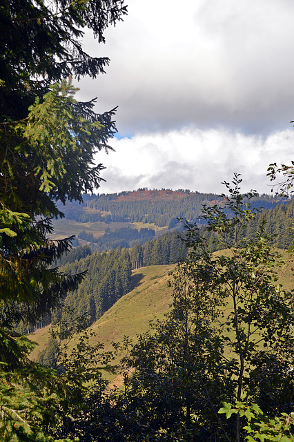 Wald, Wolken, Berge