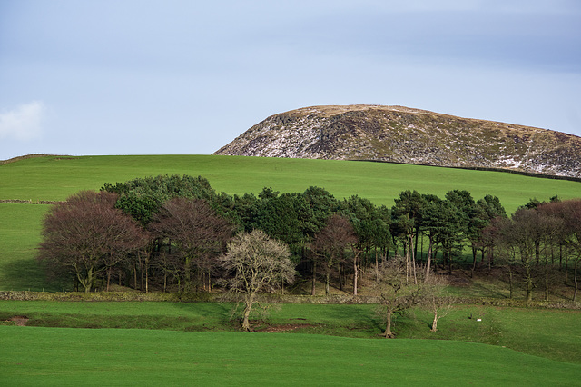 Kinderlow end