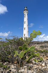 California Lighthouse