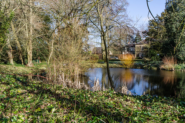 Rectory Pond