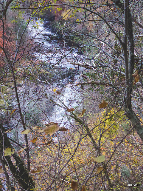 The Dunearn Burn walk - Earl of Moray's estate