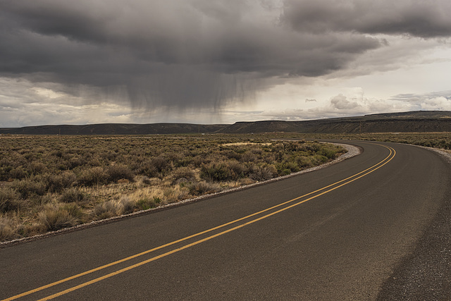 Empty Oregon Highway 205  B0005437