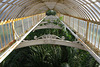 Palm House