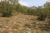 Nationalpark Paklenica - Zwischen Jurline und Seline