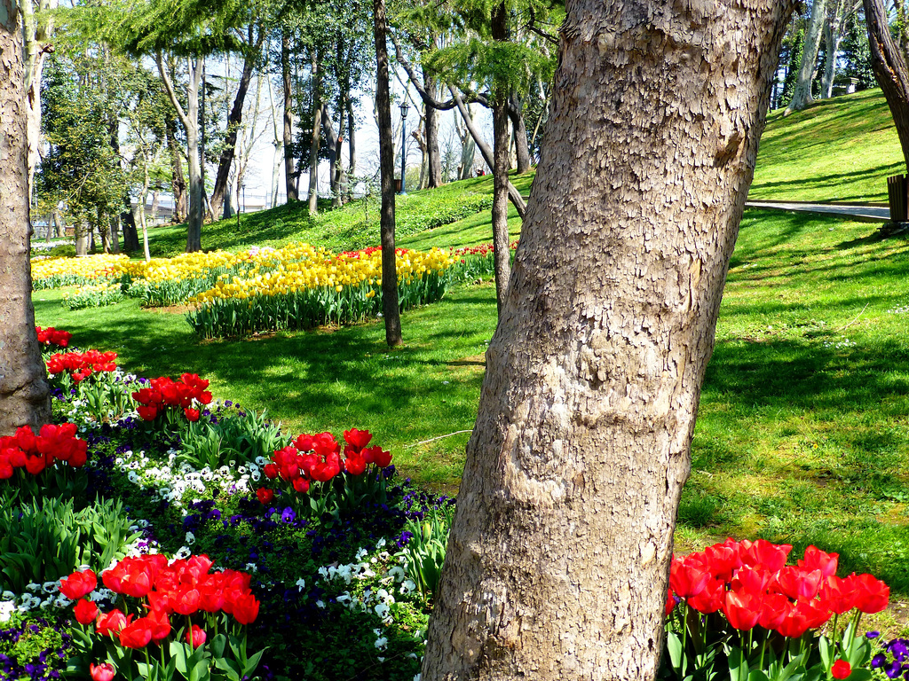 TR - Istanbul - Gülhane Park