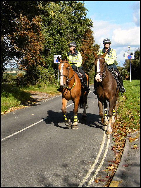 police horses in Headington