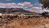 San Lorenzo de El Escorial from the Roman road. H. A. N. W. E: Everyone!