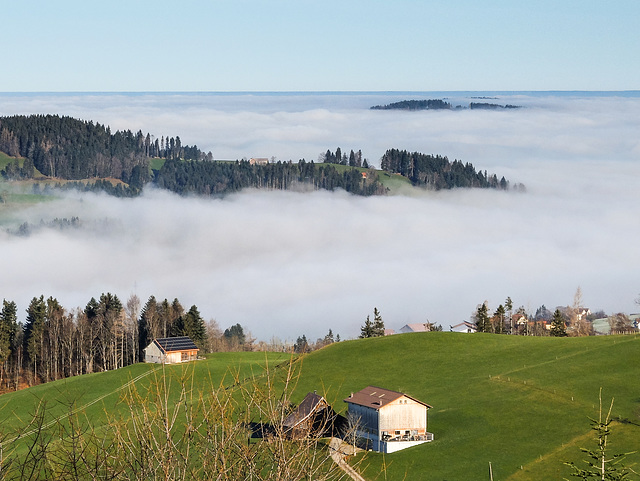 Nebelmeer über dem Bodensee