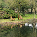 Old Rectory Lake-DTZ0328