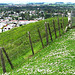 Tokoroa From Colson Hill.