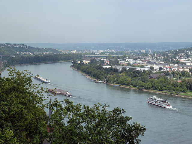 Der Rhein am ende des Mittelrheintales vor Koblenz