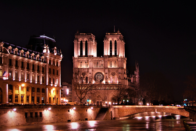 Notre Dame and a flooded river Seine.