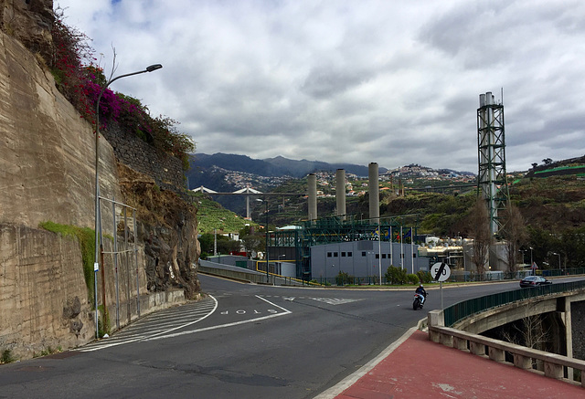 Looking North from Estrada Joao de Gonçalves Zarco