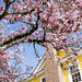 Spring in New Bern