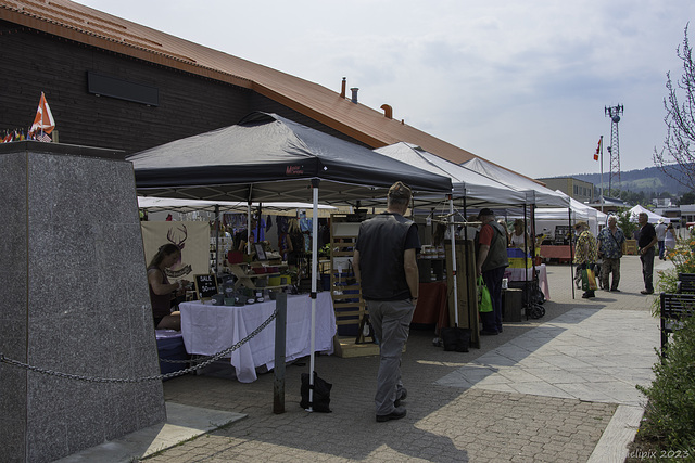 'South Cariboo Farmers Market' in '100 Mile House' (© Buelipix)