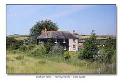 Durham Farm - Tarring Neville - from a train - 23.6.2014