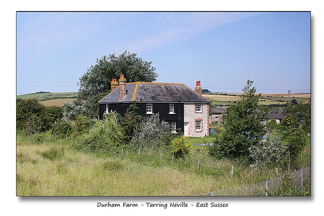 Durham Farm - Tarring Neville - from a train - 23.6.2014