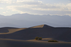 Mesquite Flat Sand Dunes