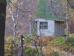 The Dunearn Burn walk - Earl of Moray's estate