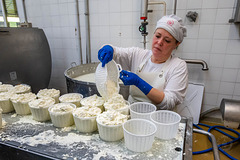 Käseproduktion ++ Making cheese