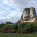 Vestiges de la motte féodale de Montchauvet