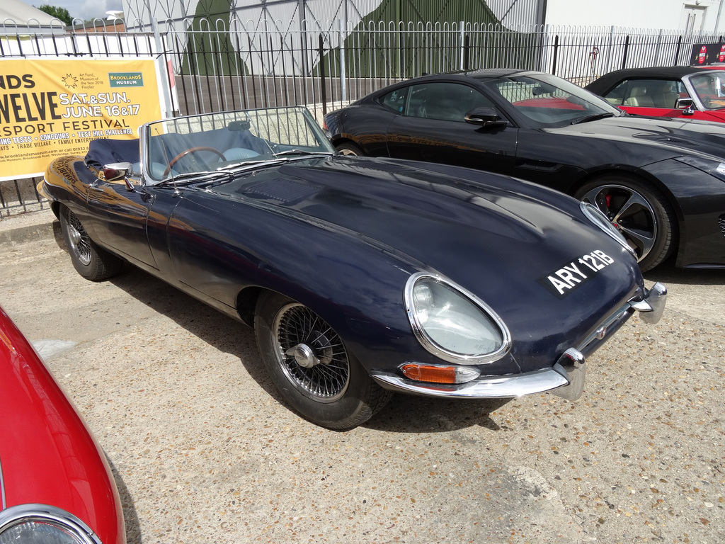 d12bjun162018 (1087)