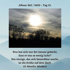 Album 365 / 2022 - Tag 13.