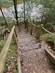 Imagery from the Dunearn Burn walk 24-08-2025