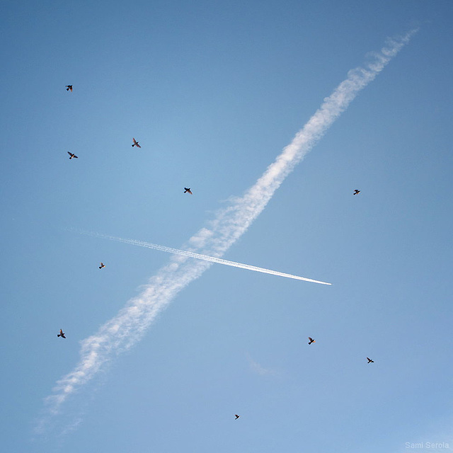 Patience & coincidence