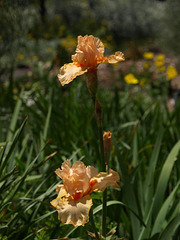 PA270063