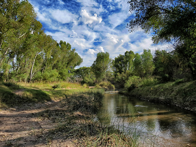 The San Pedro River