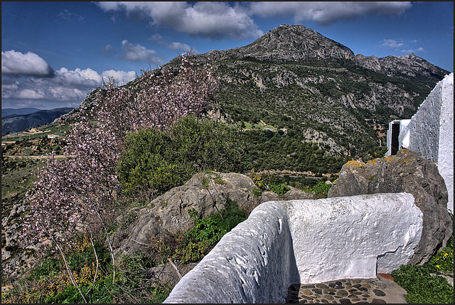 Casares