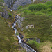 Harding Icefields Trail