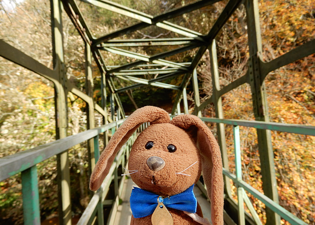 Another autumn bridge!