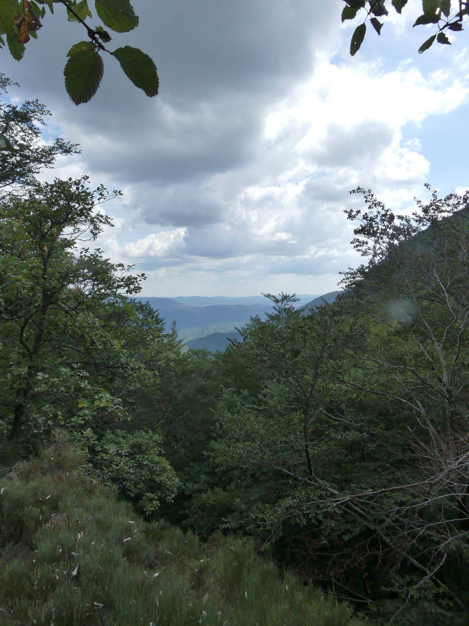 20180818 Rando solo Col de l'Hombre (Cevennes) (81) al