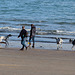 Weymouth beach - on which herds of wild dogs roam free, foraging for fish and whelks