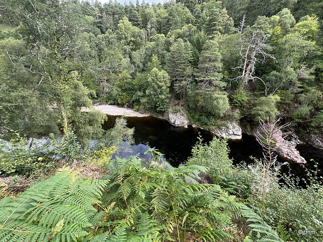 Imagery from the Dunearn Burn walk 24-08-2025